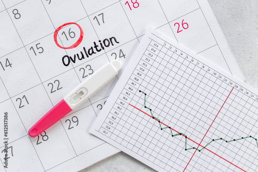 Female ovulation day on calendar with pregnancy test Female ovulation day on calendar with pregnancy test