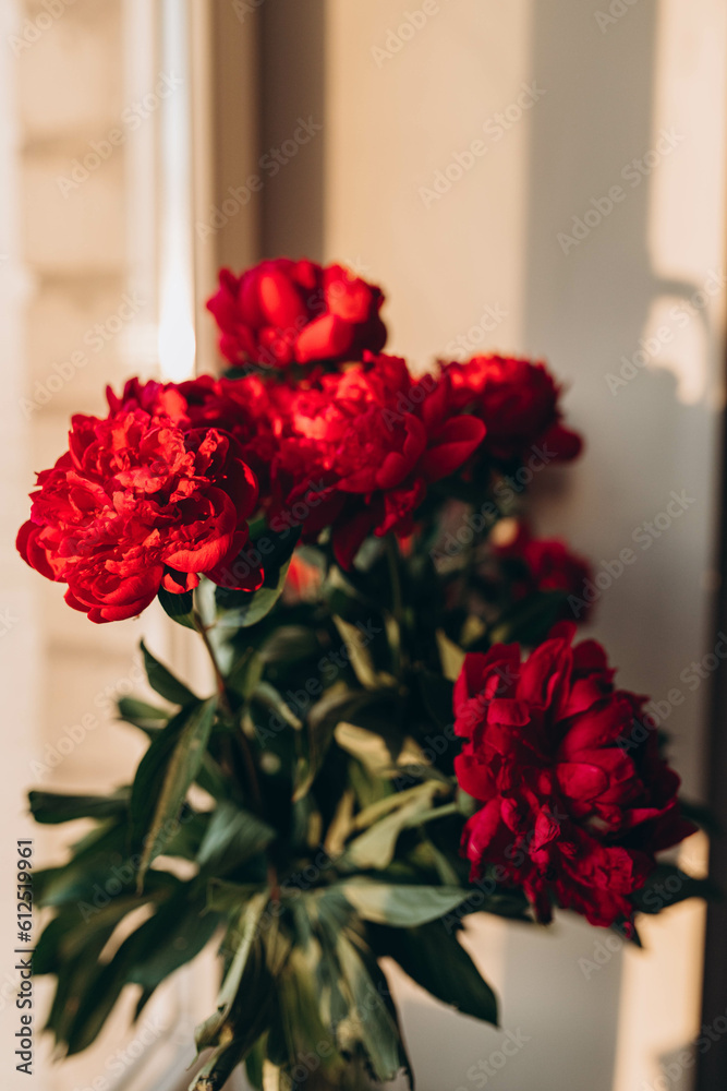 Red peonies in a glass vase Fresh bouquet of red flowers at sunset yellow light. Bright floral bunch on white wall and window background. Trendy postcard template, text place, copy space, close-up. Red peonies in a glass vase Fresh bouquet of red flowers at sunset yellow light. Bright floral bunch on white wall and window background. Trendy postcard template, text place, copy space, close-up.
