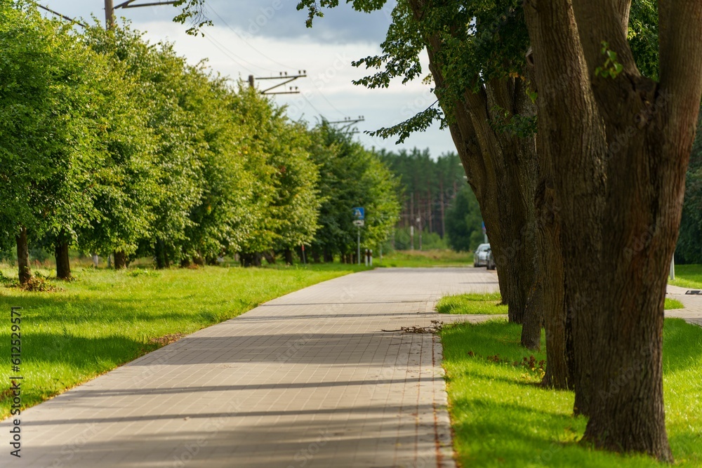 Obraz premium Beautiful view of an empty pedestrian road on a sunny day