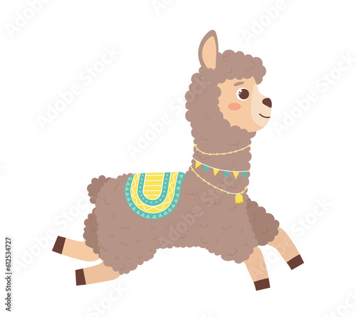 Cute lama concept