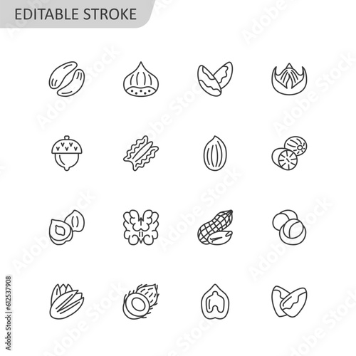 Nut flat line icon collection. Hazelnut, pecan, almond, chestnut, pistachio, walnut, peanut isolated set. Editable stroke. Vector illustration..