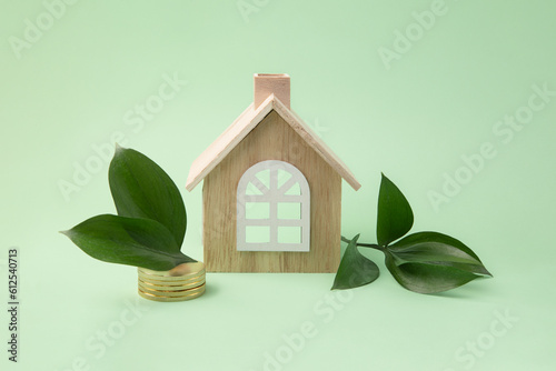 Concept of green tax credit - little house with coins near it and green leafs.