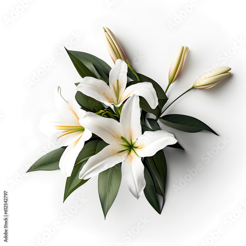 Bouquet of lily lilies flower plant with leaves isolated on white background. Flat lay, top view. macro closeup  © Sandra Chia
