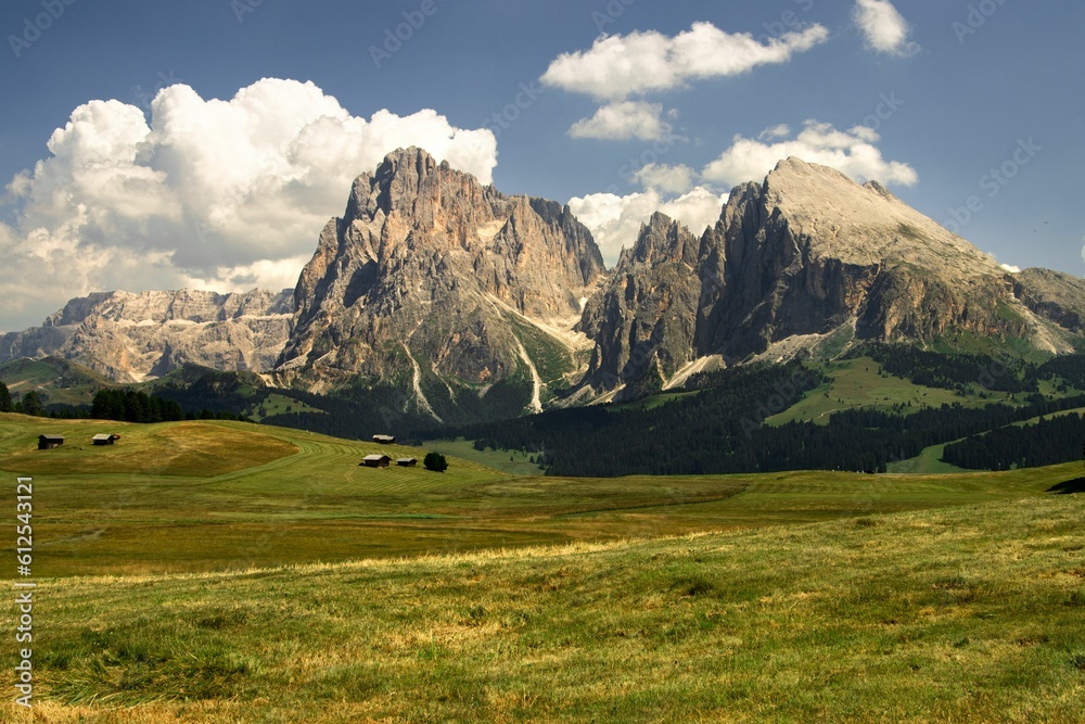 Seiser Alm Alpine meadow with a cloudy blue sky in the background, Italy