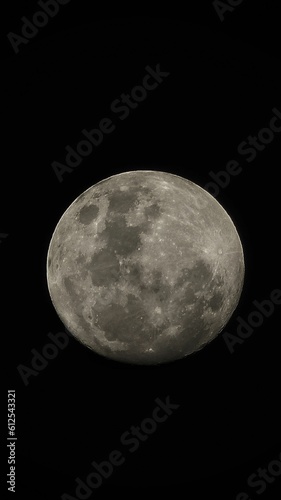 Vertical shot of the full moon isolated on a black background.
