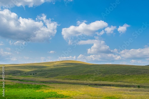 Green pastures  landscape