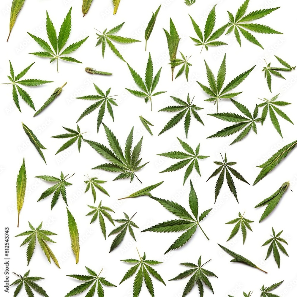 Cannabis plant, flowers, buds, ai generated Cannabis plant, flowers, buds, ai generated