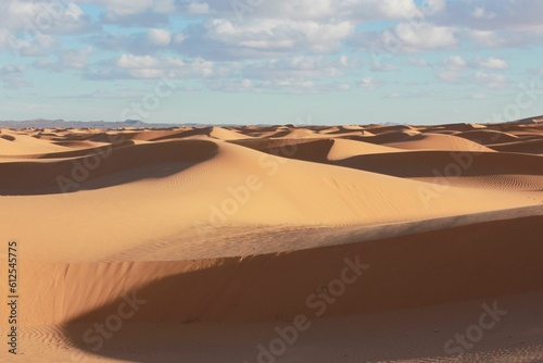 Sand Dunes in the Sahara Desert