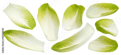 Fresh endive, green chicory salad leaves isolated on white background photo