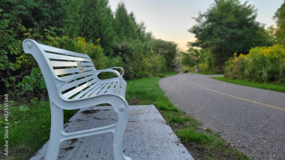 Close-up shot of a white bench in a park with green trees