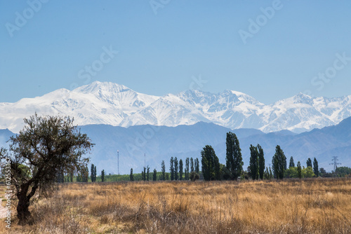 Mendoza - Argentina - Cordilheira dos Andes e vinhedos