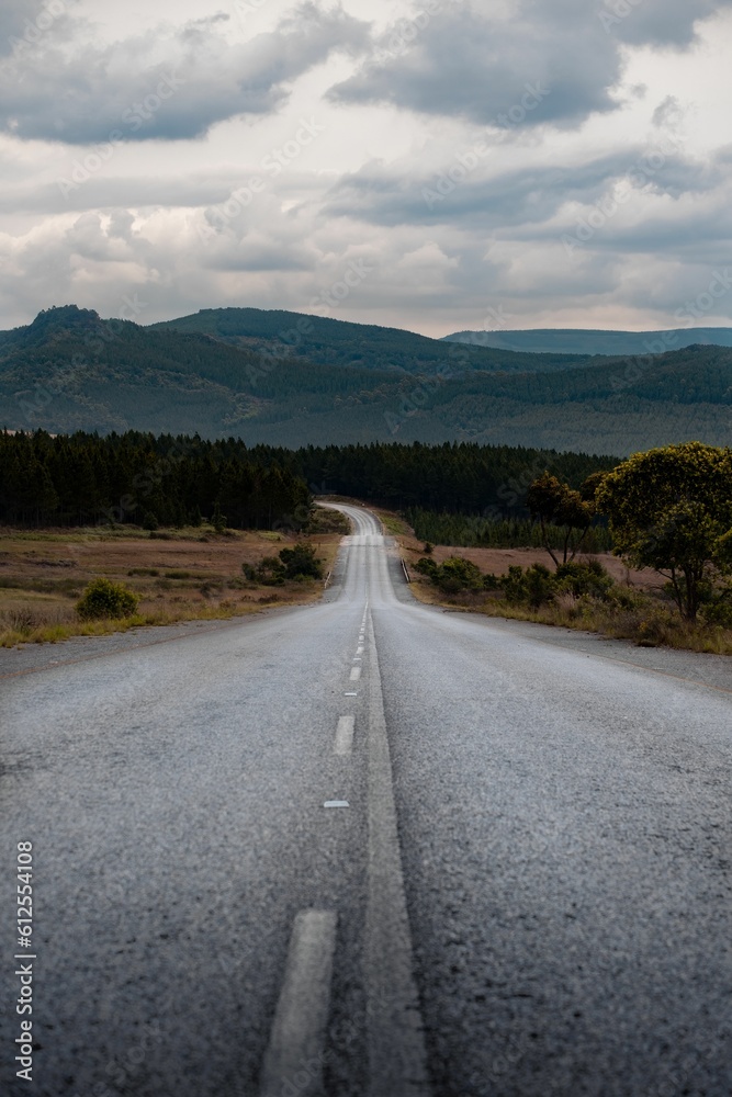Fototapeta premium Vertical shot of a road in a landscape under the big white clouds