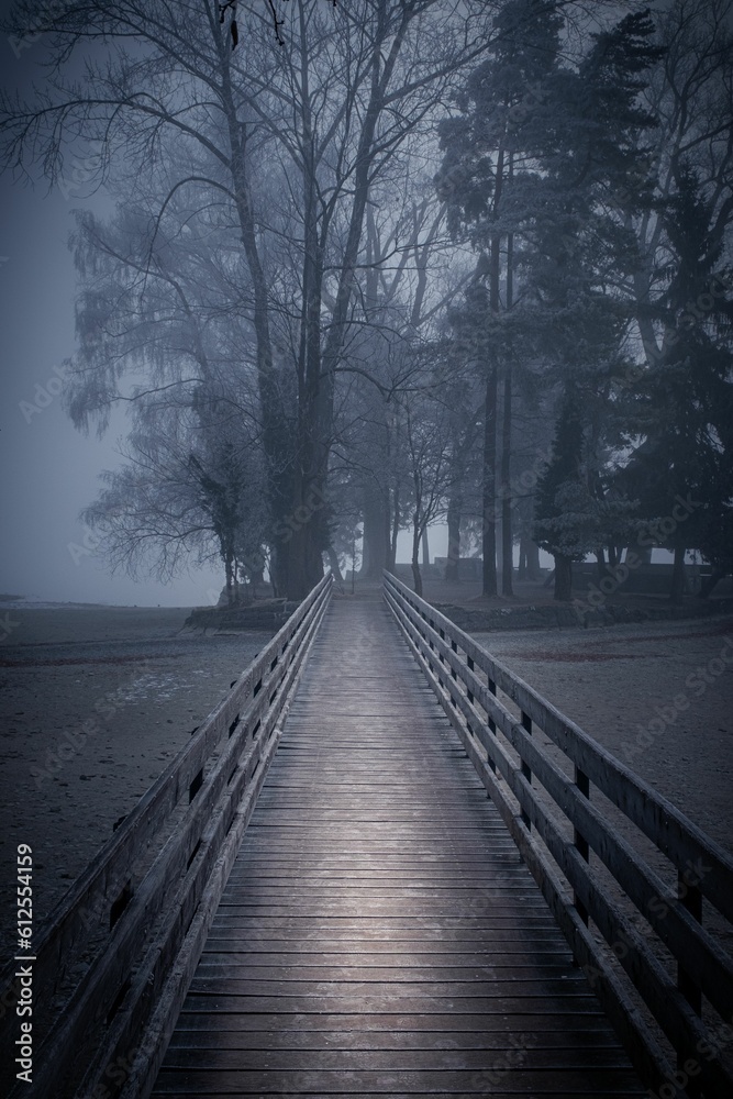 Vertical shot of a wooden bridge in a foggy forest in the evening