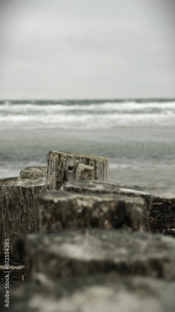Fototapeta premium Vertical shot of old wooden logs on the seaside
