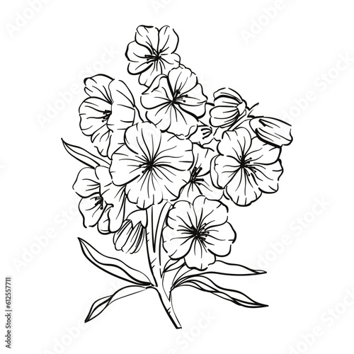 hand drawn flower