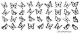 Set of butterflies, flying in different directions. Butterfle silhouette. Vector.