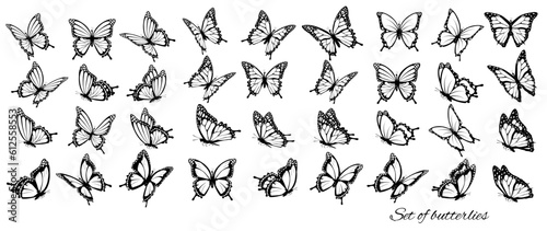 Set of butterflies, flying in different directions. Butterfle silhouette. Vector. © ecco
