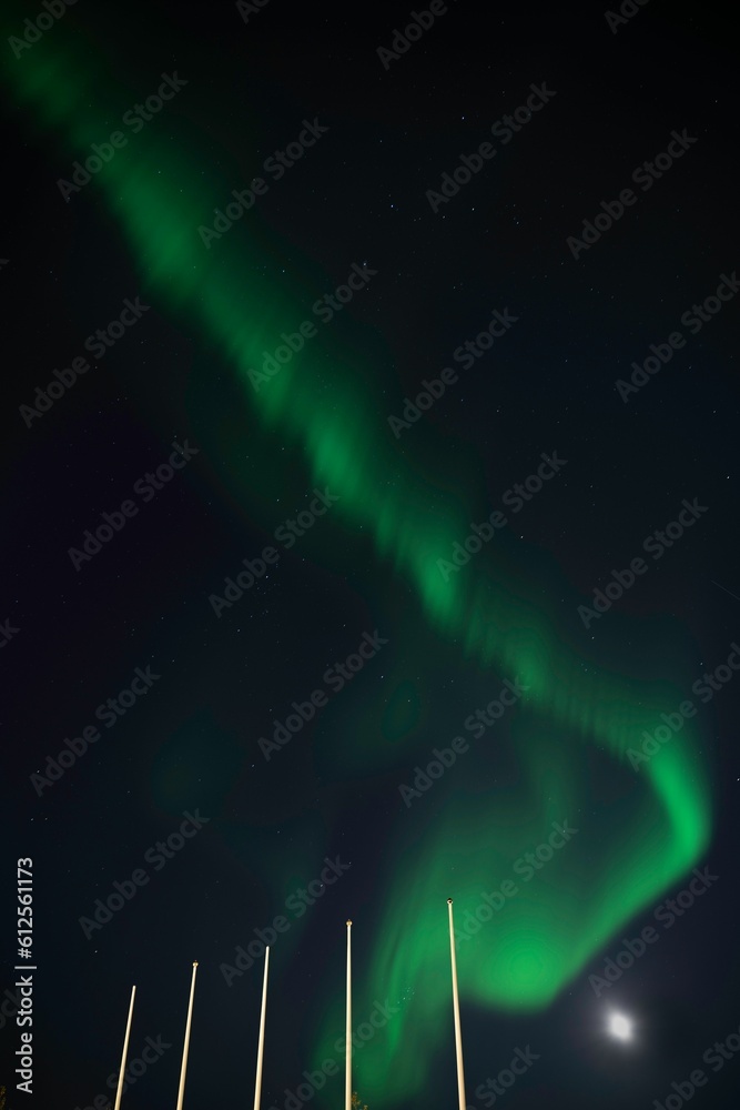 Low-angle vertical shot of the Northern lights on a starry night sky