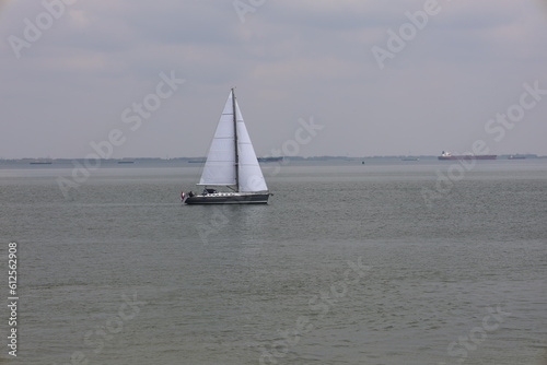 Segelboot in der Scheldemündung