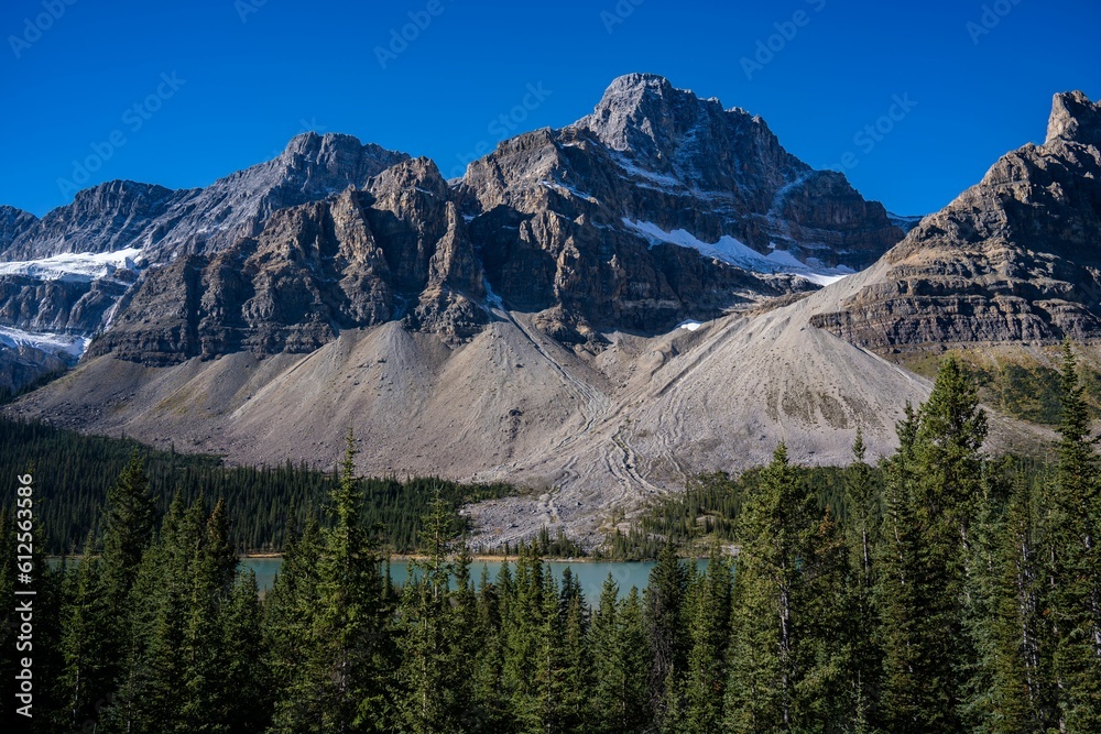 Fototapeta premium A mountain lake, surrounded by forest, with snowy tops in the background, on a sunny day