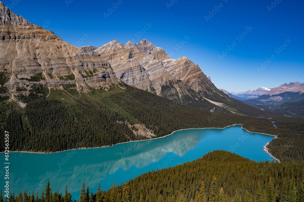 A transparent mountain lake's surface, with a forest and snowy mountain slopes in the background