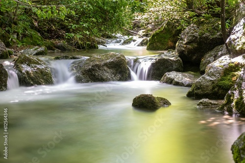 Fototapeta Naklejka Na Ścianę i Meble -  Long exposure of a rocky river flowing surrounded by forest vegetation