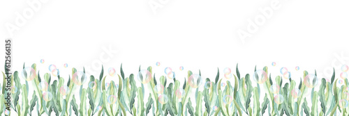 Seamless border of seaweed, algae and bubbles. Hand-drawn watercolor illustration. Underwater life template. perfect for cards invitation, packaging