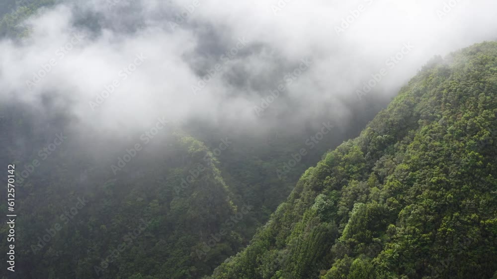 Drone shot of the Madeira island landscape with forested mountains on a foggy day Drone shot of the Madeira island landscape with forested mountains on a foggy day