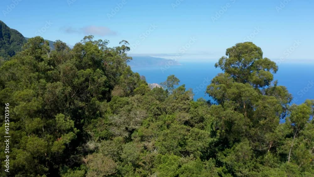 Drone view of Arco de Sao Jorge at Madeira coastline on a summer day, Portugal Drone view of Arco de Sao Jorge at Madeira coastline on a summer day, Portugal