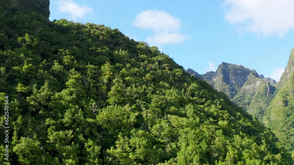 Drone view of rocky mountains of Laurissilva forest on a sunny day, Madeira Drone view of rocky mountains of Laurissilva forest on a sunny day, Madeira