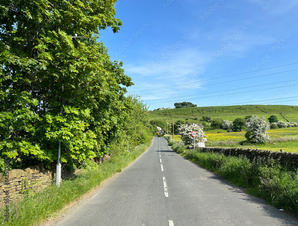 Rural country scene, with old trees, dry stone walls, and distant hills on, North Bank Road, Cottingley, UK