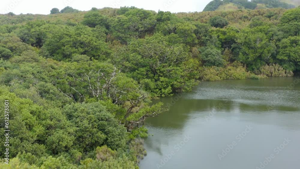 Drone view over the sea and trees on Madeira Island in Portugal Drone view over the sea and trees on Madeira Island in Portugal
