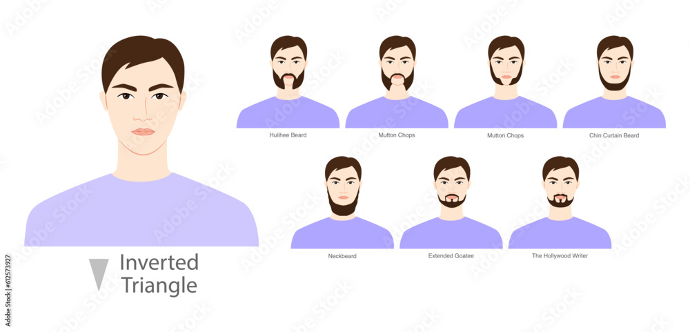 Fototapeta premium Set of Beard style for Inverted Triangle face shape and mustache men illustration Facial hair. Vector purple portrait male Fashion template flat barber. Stylish hairstyle isolated outline on white