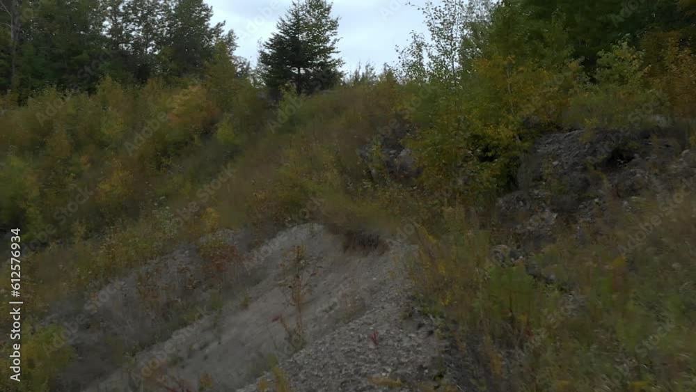 Aerial video of a stone quarry surrounded by trees on a cloudy day Aerial video of a stone quarry surrounded by trees on a cloudy day