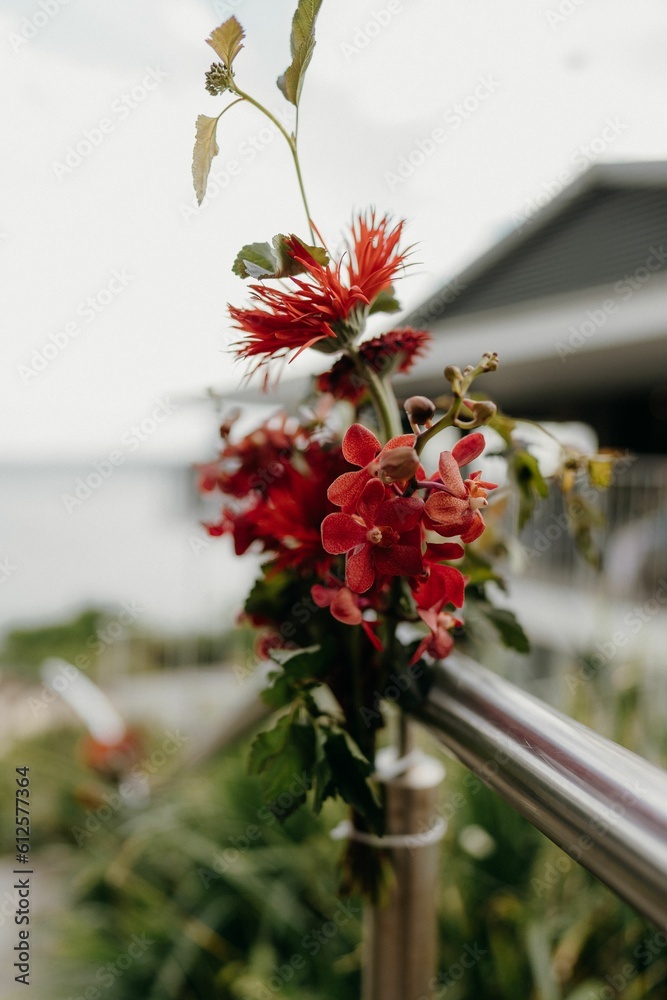 Vertical shot of beautiful flowers on the blurry background Vertical shot of beautiful flowers on the blurry background