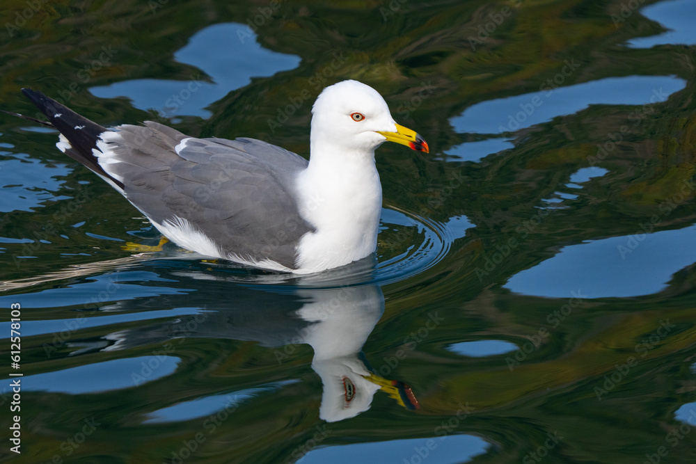 Obraz premium Funaya Boathouse Detail in Ine Japan