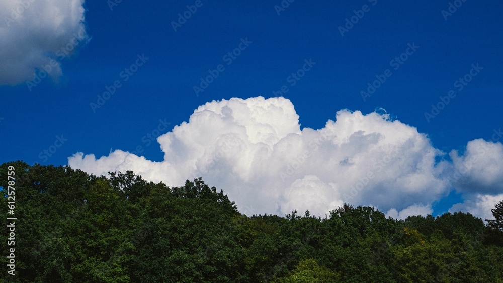 Beautiful shot of fluffy white clouds in a bright blue sky over a forest in Germany Beautiful shot of fluffy white clouds in a bright blue sky over a forest in Germany