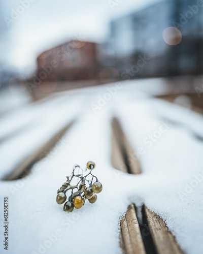 Vertical shot of a metallic decoration on a bench covered with snow in winter photo