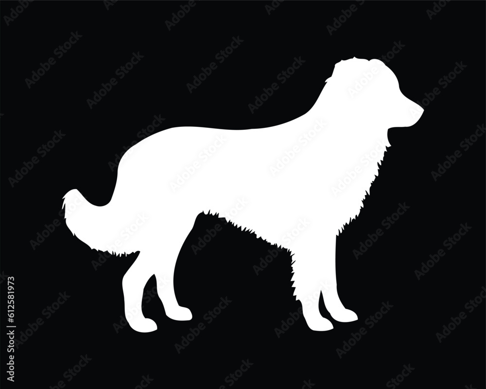 English Shepherd Dog Vector Silhouette