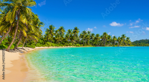 Fototapeta Naklejka Na Ścianę i Meble -  beautiful paradisiacal beach with palm trees in high definition with crystal clear waters