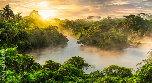 beautiful amazon river with white mist photo