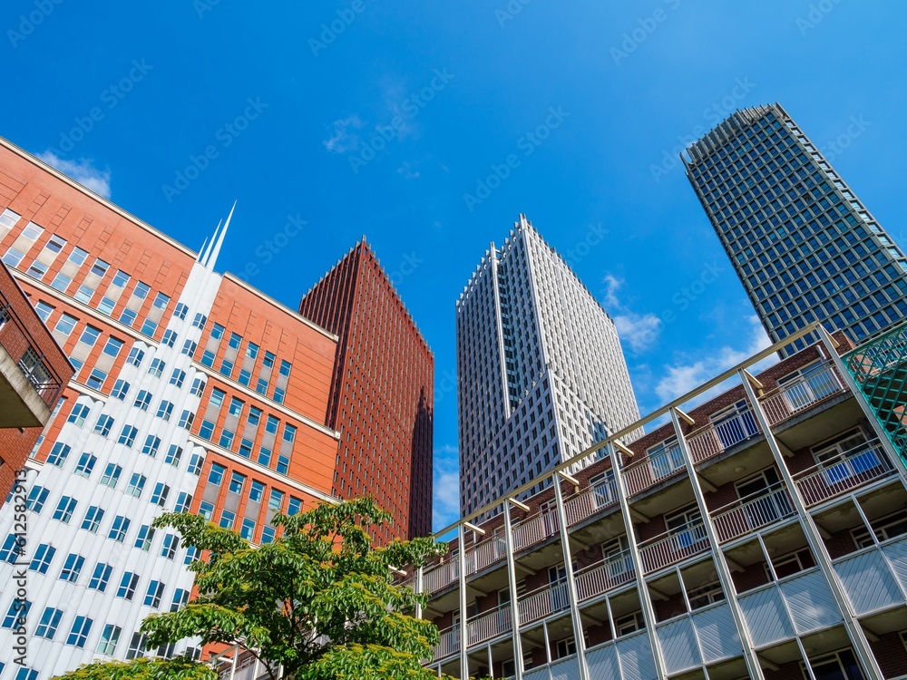 Obraz premium Low angle shot of modern buildings and green trees on a sunny day, Rotterdam, Netherlands