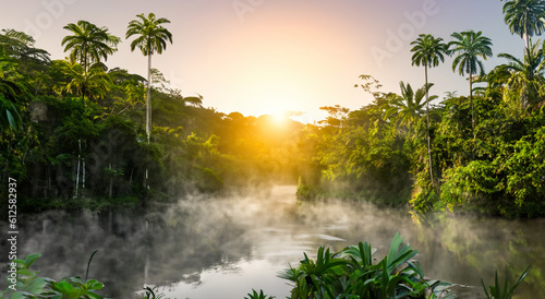 beautiful amazon river with mist photo