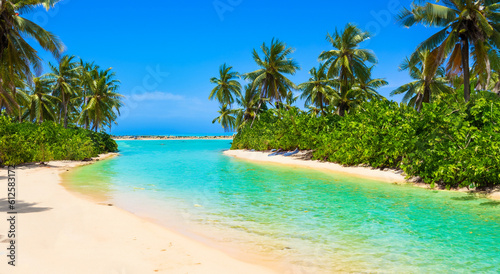 beautiful paradise beach with big palm trees and crystal clear water