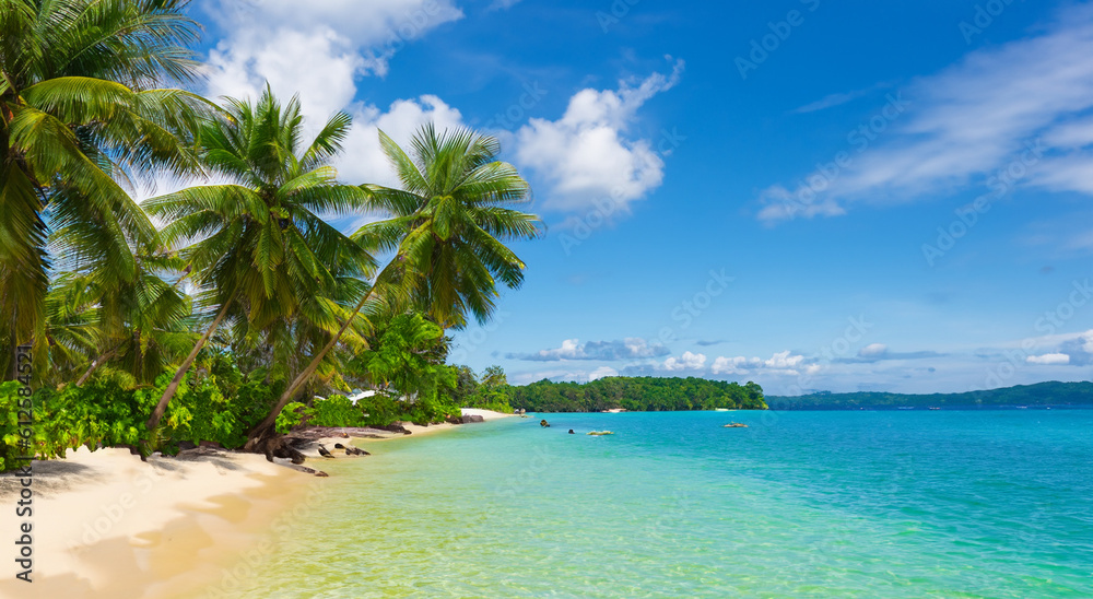 Fototapeta premium beautiful landscape of a paradise beach in high definition in hawaii
