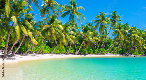 beautiful landscape of a beach with crystal clear waters by day in high definition