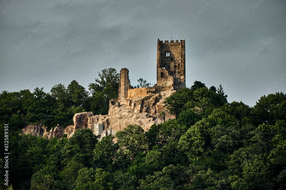 Horizontal shot of medieval Castle Drachenfels on a hill in the forest of Koenigswinter, Germany
