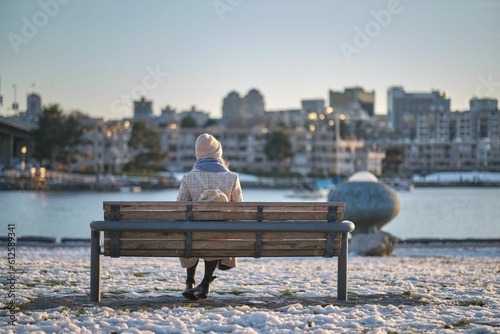 Female seen from behind, sitting on a bench against a lake in a park in winter