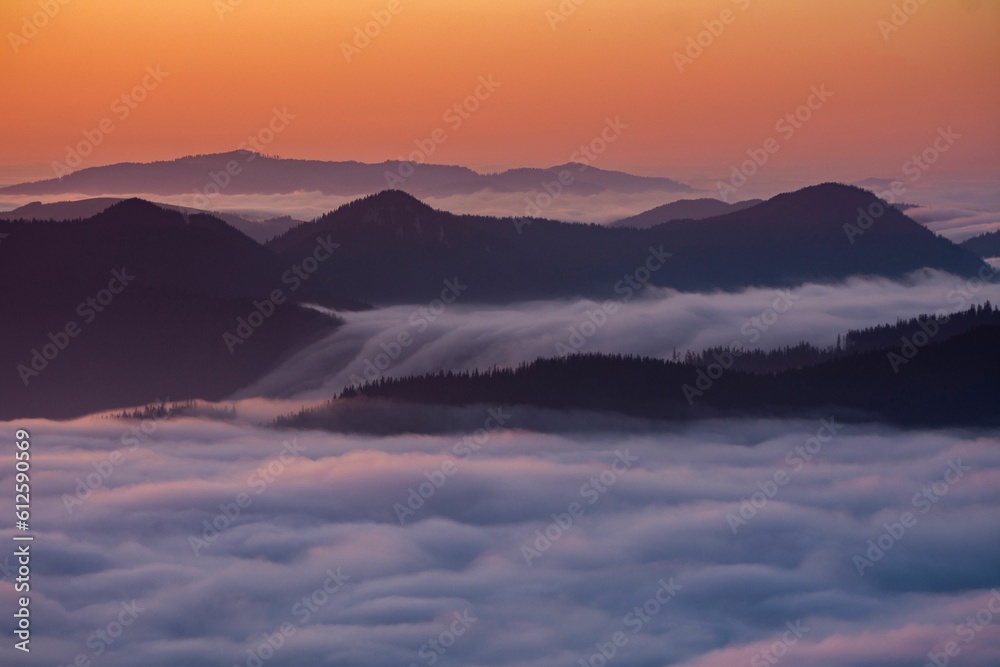 Aerial view of mountain landscape with dense trees during sunset