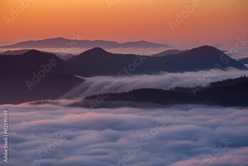 Aerial view of mountain landscape with dense trees during sunset